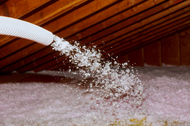 Types of Insulation We Offer in West Lealman, FL