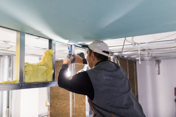 Best Insulation for Specific Applications in West Lealman, FL