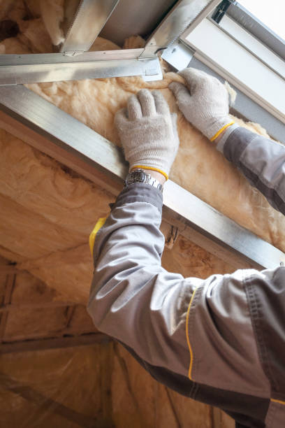 Best Specialized Insulation Services in West Lealman, FL