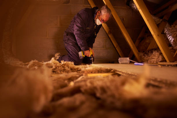 Best Cellulose Insulation in West Lealman, FL