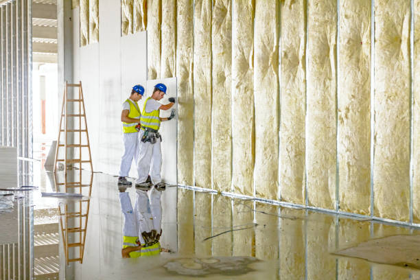 Best Energy Efficiency Insulation in West Lealman, FL